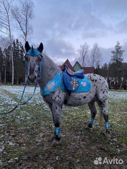 Комплект на пони