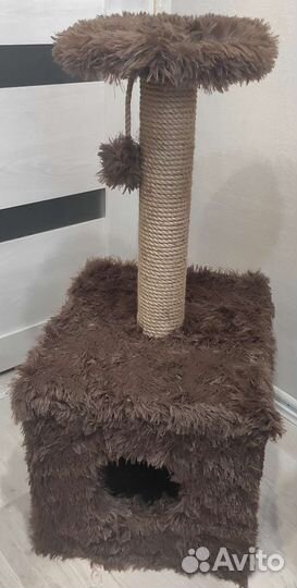 Когтеточка новая