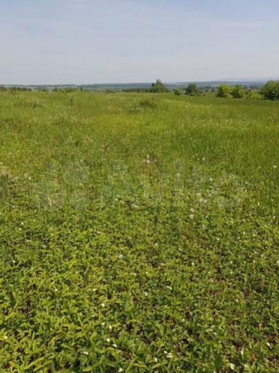 Участок 7,8 га (промназначения)