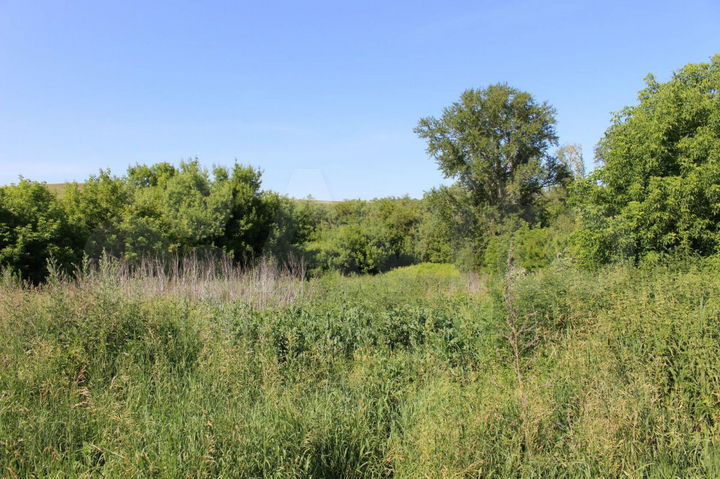 Участок 20 сот. (СНТ, ДНП)