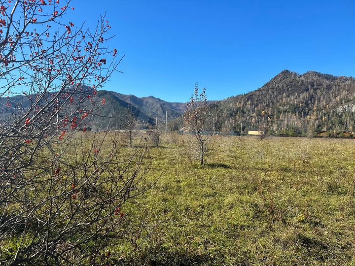 Участок 10,5 сот. (СНТ, ДНП)