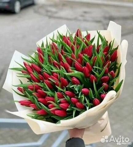 Тюльпаны с доставкой спб. Тюльпаны в коробке. Букет пионовидных тюльпанов. Коробки с тюльпанами. 75 тюльпанов.