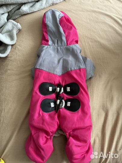 Одежда для маленьких собак пакетом