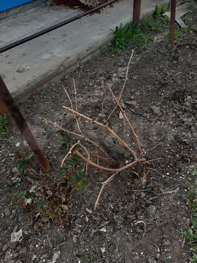 Участок 5,2 сот. (ИЖС)