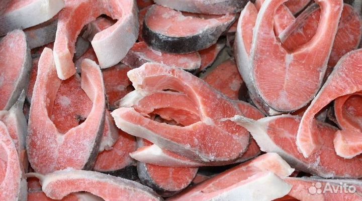 Франшиза: доход с первого дня