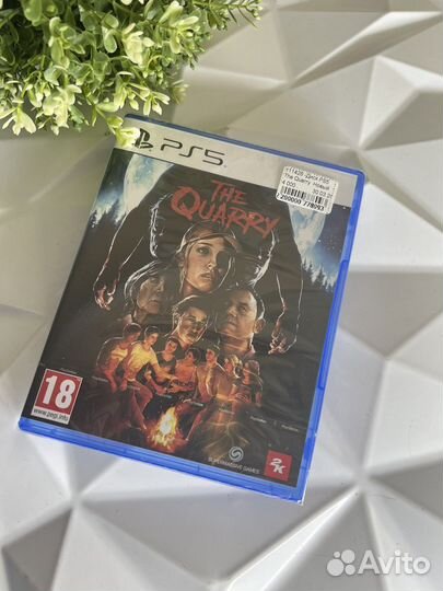 The quarry ps5 диск новый