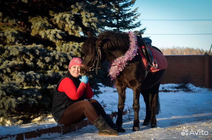 Конные прогулки