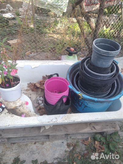 Цветочные горшки