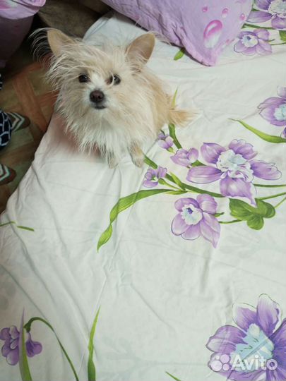 Мальчик для вязки ищет девочку