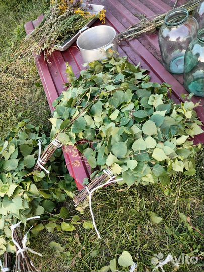 Березовые веники