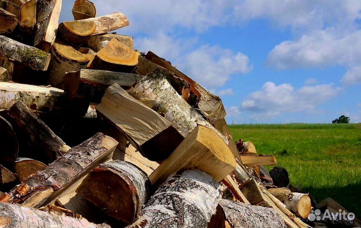 Дрова в область