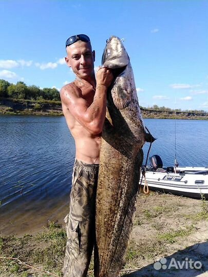 Квок на сома