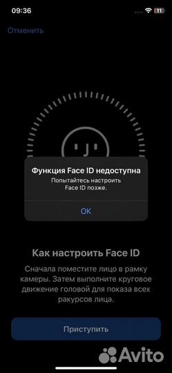 iPhone X, 256 ГБ