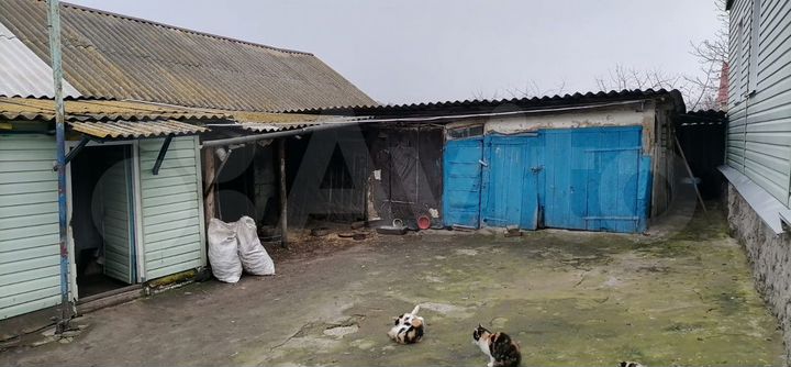 Дом 65 м² на участке 50 сот.