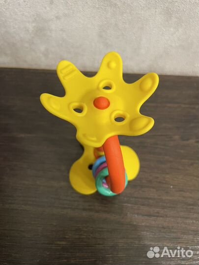 Грызунок pigeon