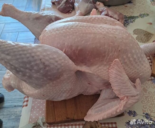 Домашняя птица, тушка куры, индейки с доставкой