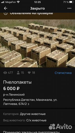 Пчелы пчелопакеты карника