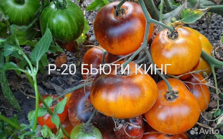 Семена томатов