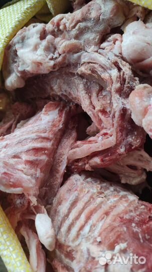 Продукты для животных