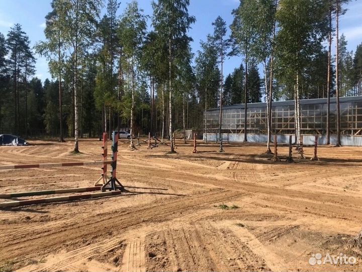 Постой для лошадей на конюшне