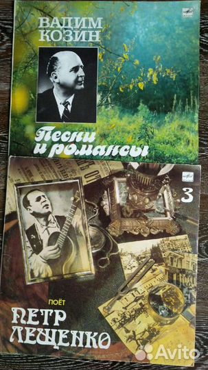 Виниловые пластинки