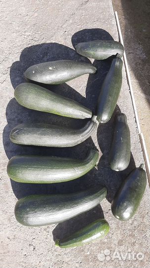 Кабачки цукини