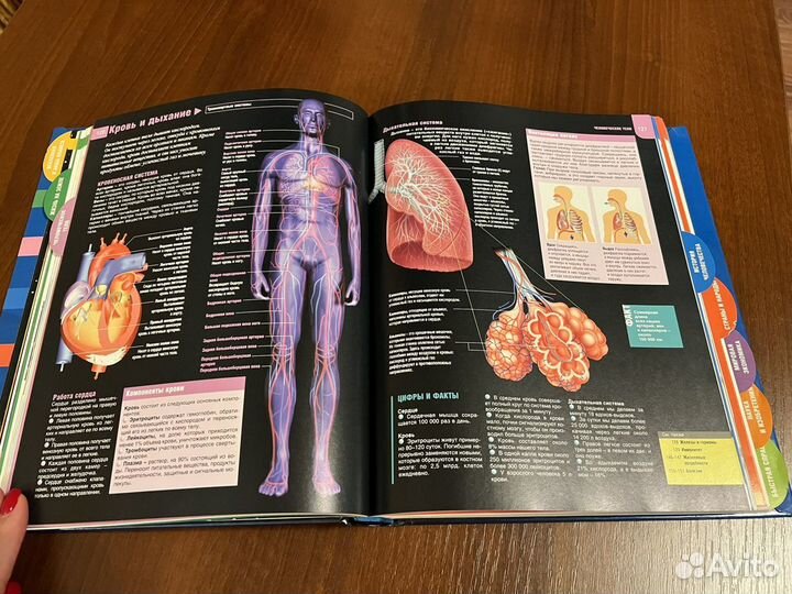 Только факты