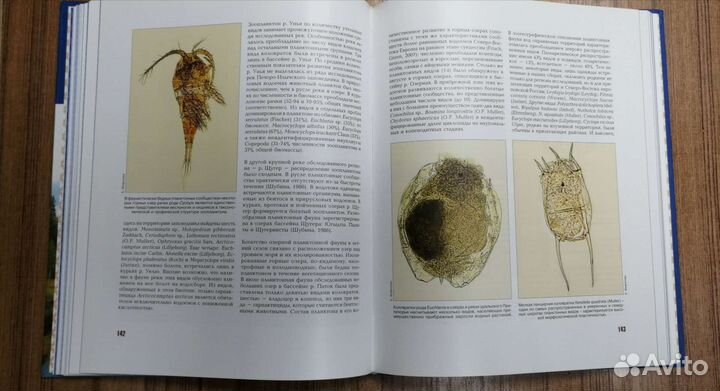 Книга Биологическое разнообразие Урал. Припечорья