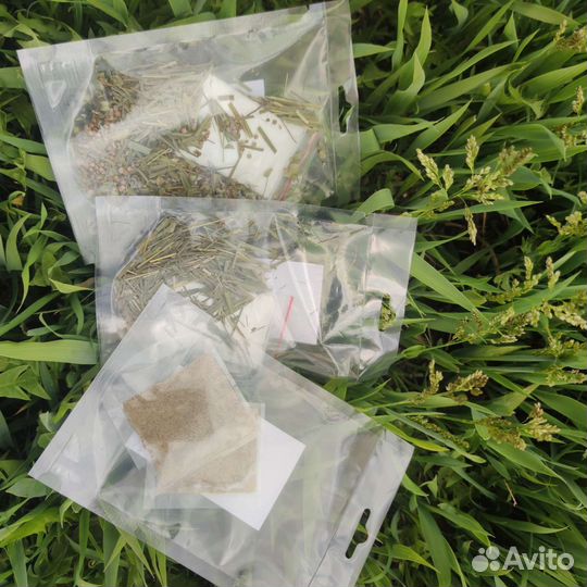 Зубровка пучки и наборы,весовая урожай 2023