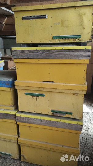 Улей для пчел