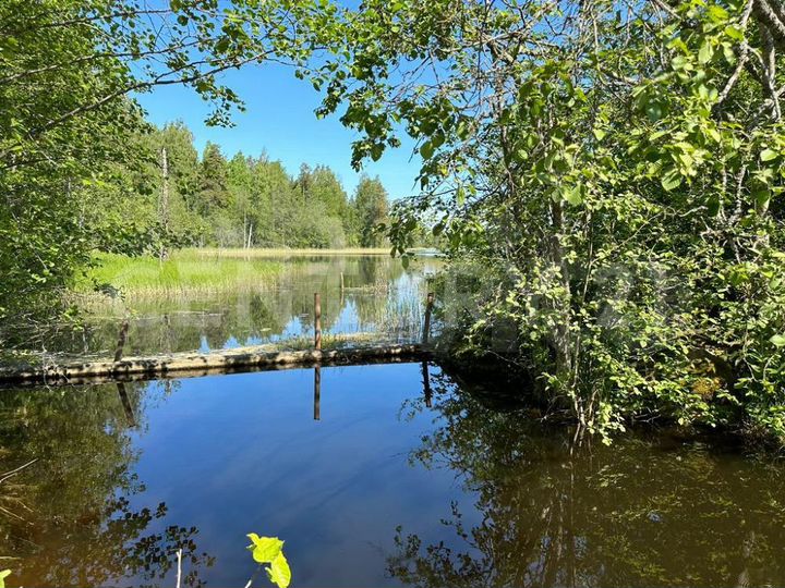 Участок 7,7 га (личное подсобное хозяйство (лпх))