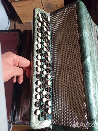 Баян тульский