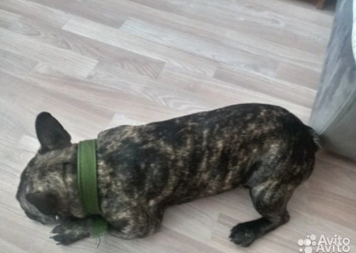 Ищем подругу