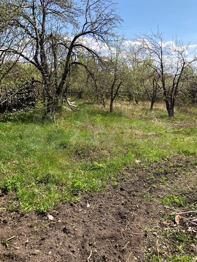 Участок 8 сот. (ИЖС)