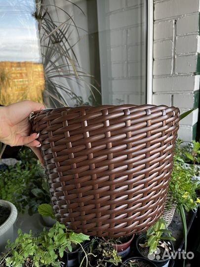 Кашпо из ротанга, кашпо для цветов
