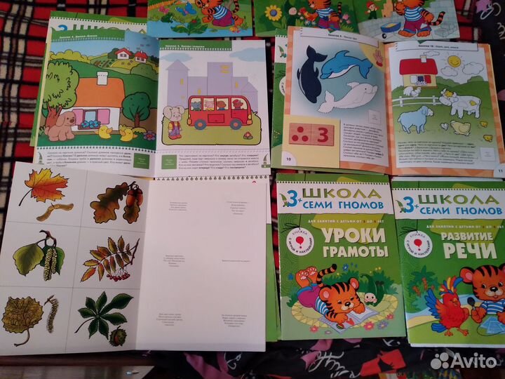 Школа 7 гномов 3+