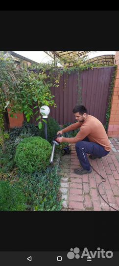 Спил деревьев