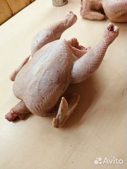 Мясо цыплёнка бройлера