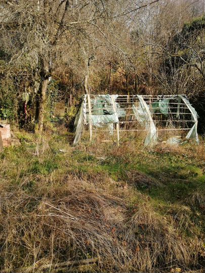 Участок 5 сот. (СНТ, ДНП)