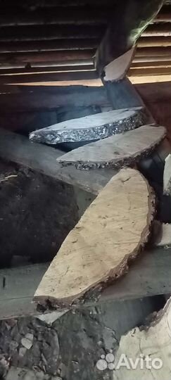 Сувель березовый