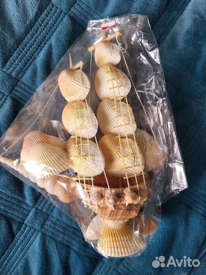 Морские ракушки раковины сувениры для аквариума