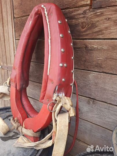 Хомут для лошади