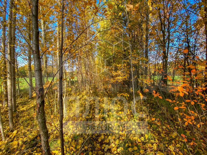 Участок 8 сот. (СНТ, ДНП)