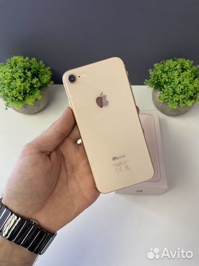iPhone 8, 64 ГБ