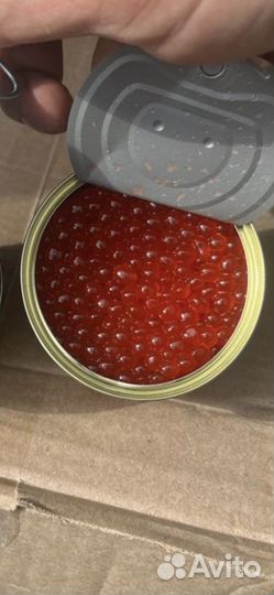 Красная икра оптом