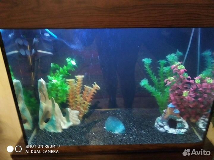 Аквариум