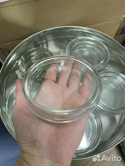 Чашки Петри