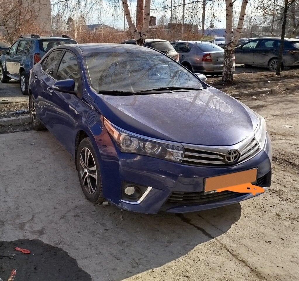 Toyota Corolla: фото владельца