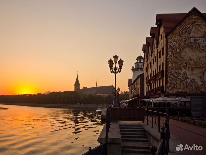 Экскурсия — Калининград — Калининград для новичков