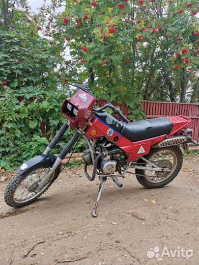 Зид 50 пилот